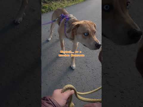 WOW! , Die Augen 😱