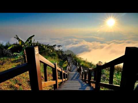 Mihai Popoviciu & David – Early Bird [Original Mix]