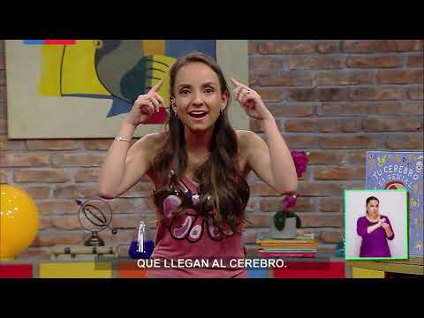 AprendoTV - Ciencias Naturales 3° y 4° básico /Capítulo 31
