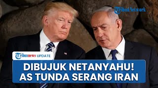 AS Tunda Gempur Iran imbas Trump Dibujuk Negara Arab dan Netanyahu, Konflik Timur Tengah Ditahan