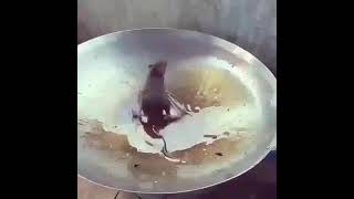 Download lagu STORY WA LUCU ABIS PALING NGGAK 2021.              #STORYWA #STORYTERBARU #STORYWALUCU #VIDEOCHANEL mp3 Download lagu STORY WA LUCU ABIS PALING NGGAK 2021.              #STORYWA #STORYTERBARU #STORYWALUCU #VIDEOCHANEL mp3