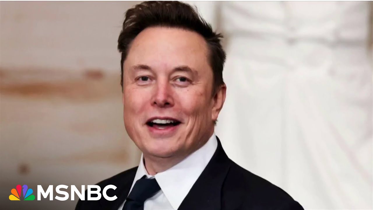 'Super Cabinet member': Federal workers sue over Musk's sprawling authority