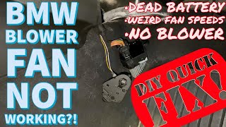 BMW E46 Final Stage Relay Parasitic Draw Diagnosis