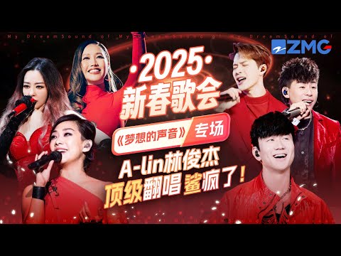 2025新春歌会《梦想的声音》专场！A-lin林俊杰顶级翻唱鲨疯了！主题特辑 20250130