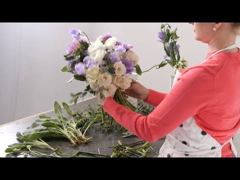 download lagu mp3 mp4 Lisianthus Rose, download lagu Lisianthus Rose gratis, unduh video klip Lisianthus Rose