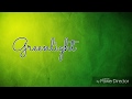 Jonas Brothers - Greenlight / Lyrics