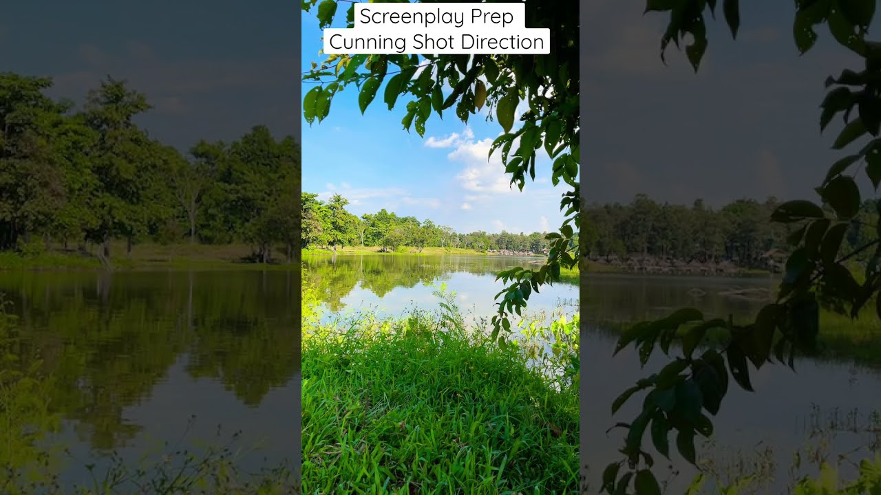 Screenwriting Reference: Cunning camera shot direction.