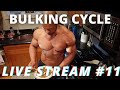BULK CYCLE LIVE STREAM 11 | PREVENTING MOON FACE | BERBERINE | VENTROGLUTE INJ | INJECTING BICEPS