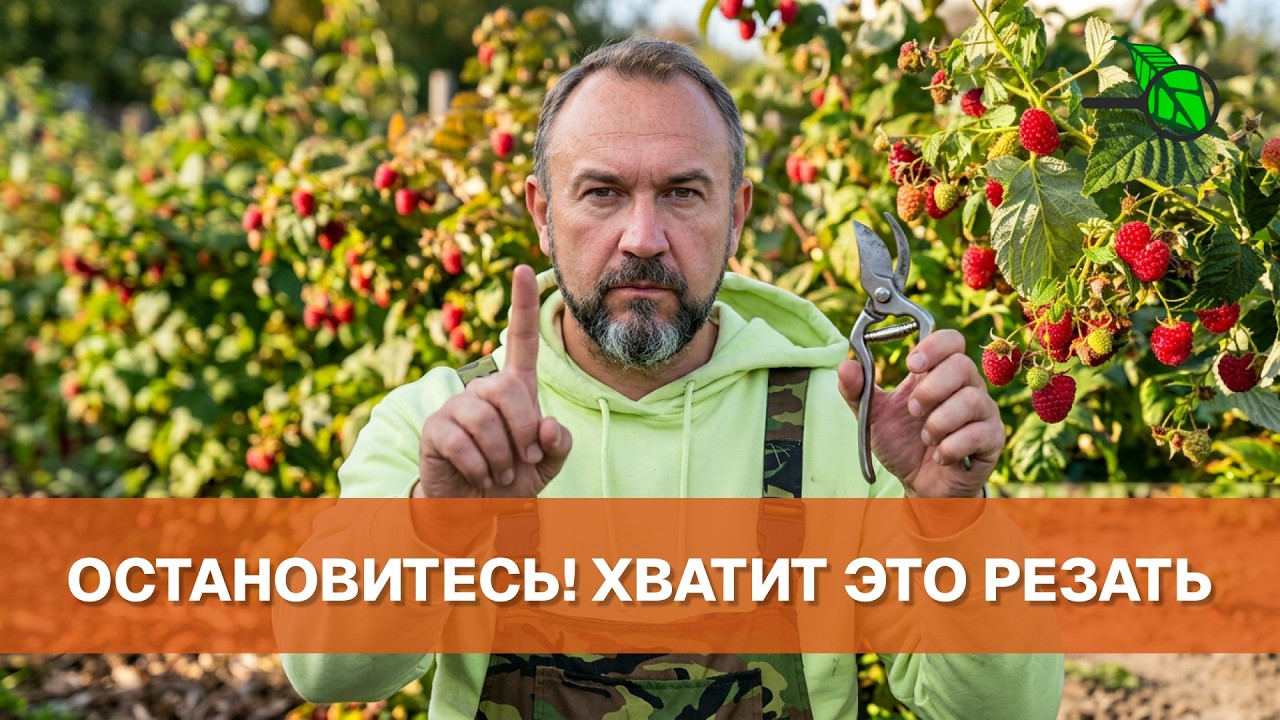 ❌ ПРЕКРАТИТЕ РЕЗАТЬ ЭТО ОСЕНЬЮ! Роковая ошибка, которая лишает вас половины 