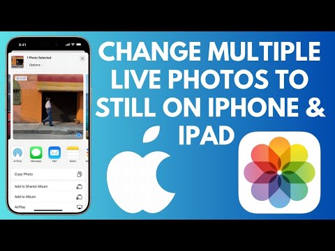 Convertir varias Live Photos en un solo video en iPhone