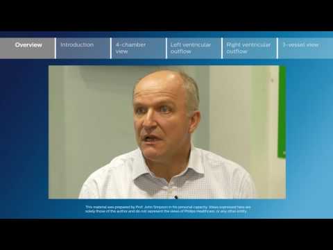 Key screening views of the fetal heart - Part 1 - Overview