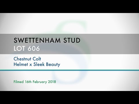 Swettenham MPYS 2018 Lot 606