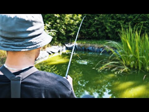 I'M FISHING IN MY POND!