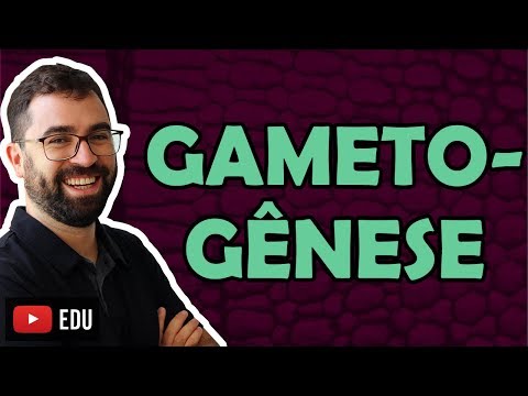 Gametogênese - Aula 35 - Módulo I: Biologia Celular | Prof. Gui