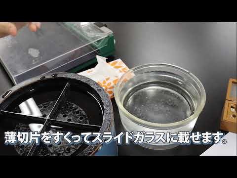 臨床検査技術学科ー病理学実習