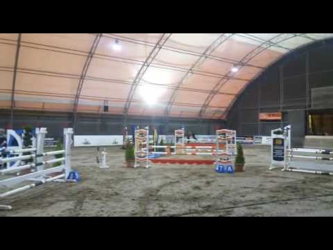 6 Stute v Numero Uno