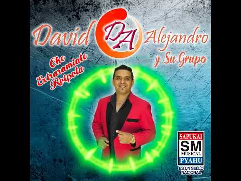 DE MIL AMORES : DAVID ALEJANDRO Y SU GRUPO