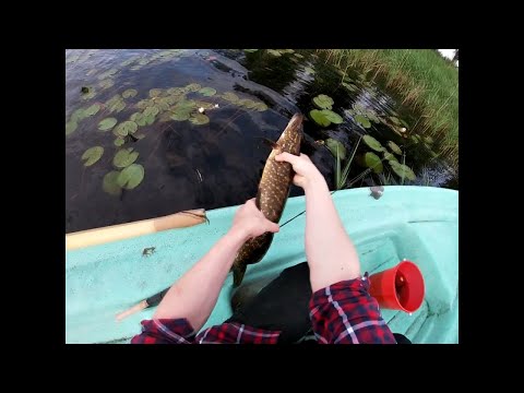 AHVENEN JIGAUSTA / PERCH JIGGING