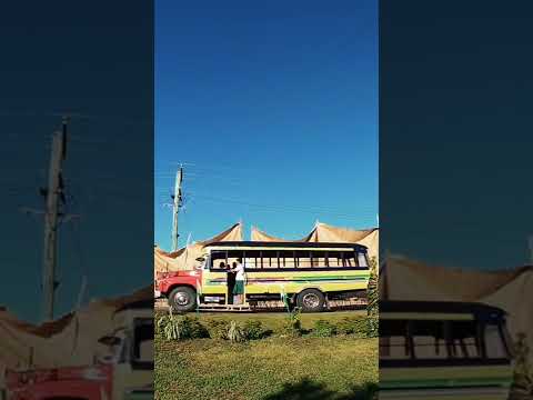 A quick two day trip to Savaii for the fa'aulufalega of the new EFKS church building at Saleaula.