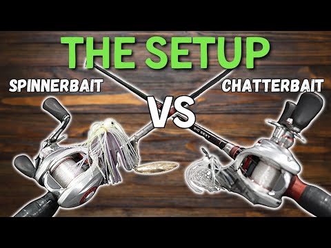 Which Is BETTER? (Chatterbait VS Spinnerbait)