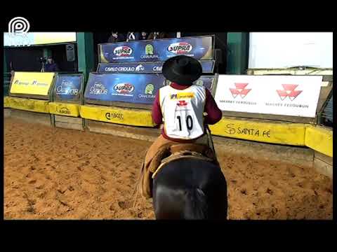 Aberta de Esteio (RS) – 5° lugar fêmeas – Xica do Infinito (Prova: Mangueira II)