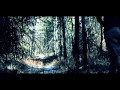Teaser