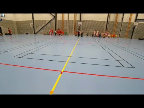 Viby Basket F02- HoNsu