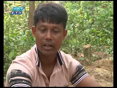 সেনাবাহিনীর নির্মম নির্যাতনের জ্বলজ্বলে স্মৃতি তাড়া করে ফিরছে রোহিঙ্গাদের