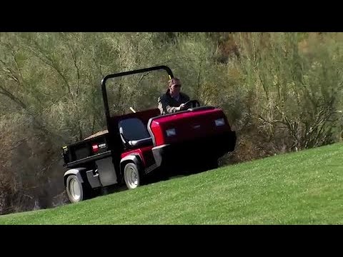 Toro® Heavy-Duty Workman® Automatic