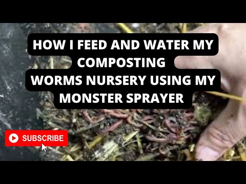 Check on all the worm nurseries. For worms visit my website TheGardenAndWormLady.com