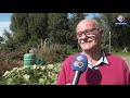 Merel Hiep kweekt reuzenpompoen