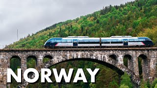 9 Hours to the ARCTIC CIRCLE 🇳🇴