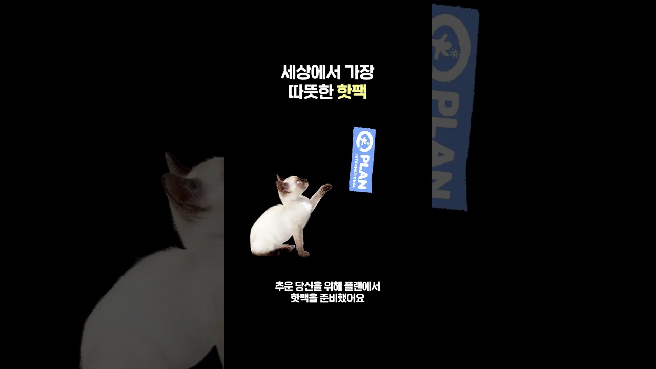 세상에서 가장 따뜻한 핫팩
