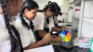 Pallavi Model School Video