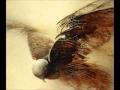 Coil - The Golden Section - Horse Rotorvator ...