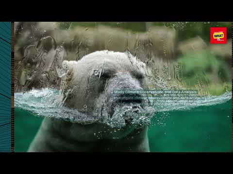 How to Understand the Physics of Climate Change and Global Warming