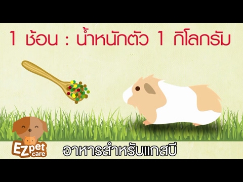 โรคสะเก็ดเงินในร่างกายเป็นโรคติดต่อ โรคสะเก็ดเงินในผู้หญิง pol.organov ภายนอก