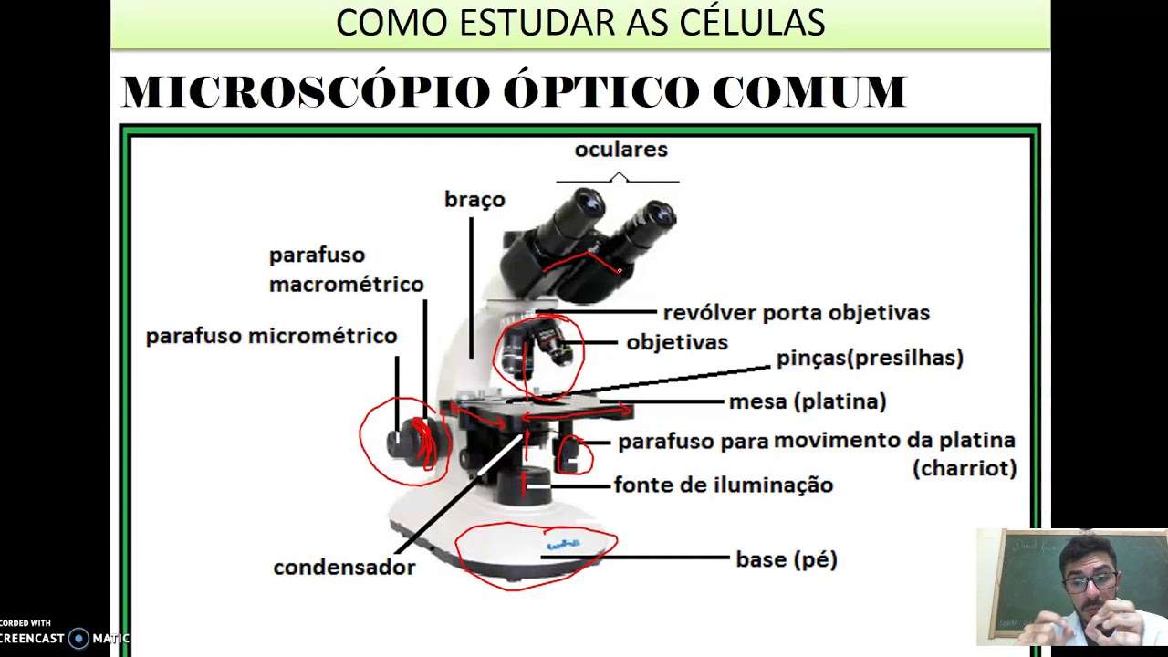 Aula microscopia  Parte 1