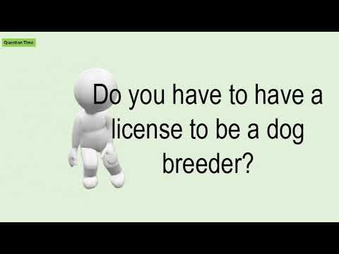 Do You Have To Have A License To Be A Dog Breeder?