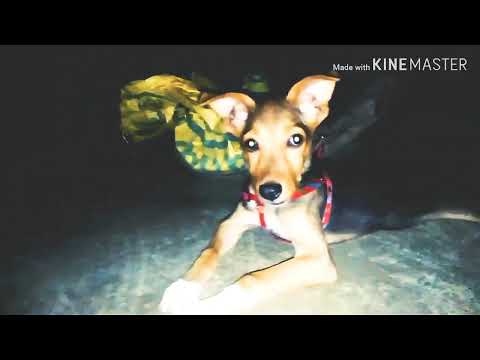 The first cinematic 🔥