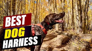 The BEST Dog Harness of 2026? Top 5 No-Pull & Comfort Harnes