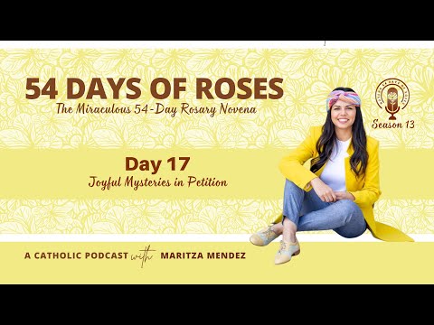 S13 Day 17 - Joyful Mysteries in Petition