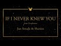 Disney Greatest Hits ǀ If I Never Knew You Jon Secada Shanice
