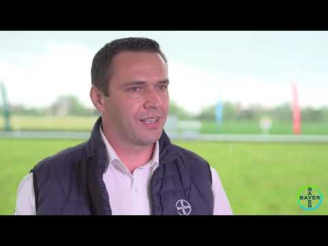 Bayer Agro Arena 2019. Fermierii, bucuroși de noutăți, dar și de ploaie