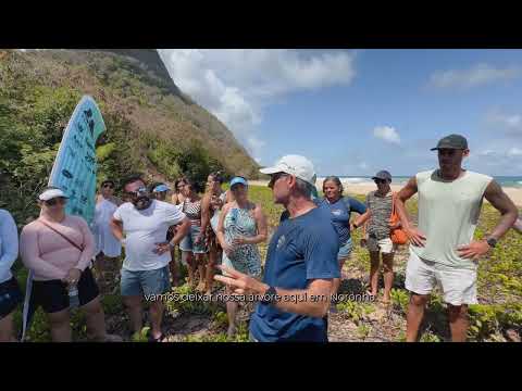 ICMBio Replantio 21k Noronha 2024