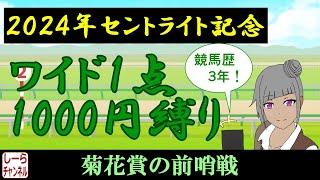 【2024年セントライト記念】総合的に判断(小並感)【しーらch】
