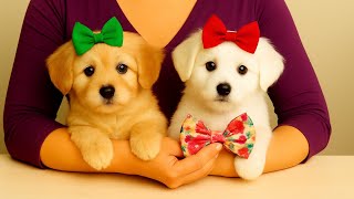 FAÇO MAIS DE 100 POR DIA E VENDO TODOS.