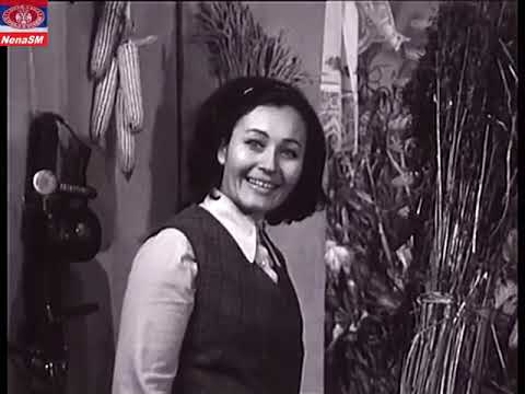 Nada Vodeničar Tri jabuke i pola