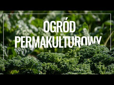 Niesamowity ogród permakulturowy 😮