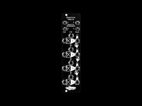 Noise Engineering Quantus Ampla 2021 - Present - Black image 5